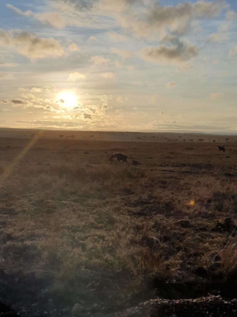 Sonnenuntergang in der Serengeti 